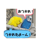 おねずのしめきくとおともだち（個別スタンプ：23）