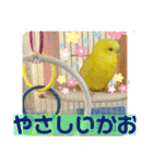 おねずのしめきくとおともだち（個別スタンプ：24）
