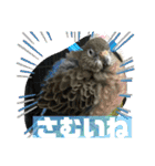 おねずのしめきくとおともだち（個別スタンプ：26）