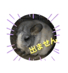 おねずのしめきくとおともだち（個別スタンプ：27）
