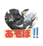 おねずのしめきくとおともだち（個別スタンプ：29）