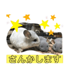 おねずのしめきくとおともだち（個別スタンプ：30）