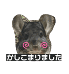 おねずのしめきくとおともだち（個別スタンプ：32）