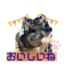 おねずのしめきくとおともだち（個別スタンプ：33）