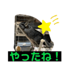 おねずのしめきくとおともだち（個別スタンプ：34）