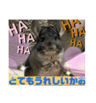 おねずのしめきくとおともだち（個別スタンプ：35）