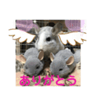 おねずのしめきくとおともだち（個別スタンプ：36）