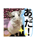 おねずのしめきくとおともだち（個別スタンプ：40）