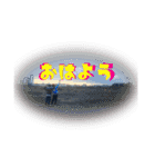 ワイズーケーズースタンプ（個別スタンプ：1）