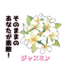 運命美容アロマ占いスタンプ Part 3（個別スタンプ：2）