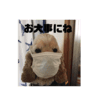 ニコラ2（個別スタンプ：9）