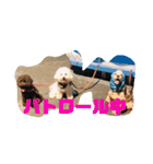 ニコラ2（個別スタンプ：15）