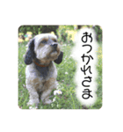 はちくんすたんぷA（個別スタンプ：5）