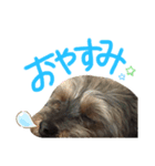 はちくんすたんぷA（個別スタンプ：8）