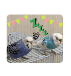 ささみ・つくね・そぼろ（個別スタンプ：4）