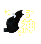 うにstamp Ver1.0（個別スタンプ：1）