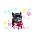 フレブル♡ココアちゃん♡4（個別スタンプ：9）