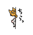 フェレネコ日誌（個別スタンプ：4）