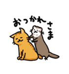 フェレネコ日誌（個別スタンプ：7）