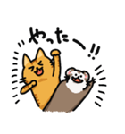 フェレネコ日誌（個別スタンプ：10）