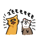 フェレネコ日誌（個別スタンプ：17）