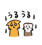 フェレネコ日誌（個別スタンプ：33）