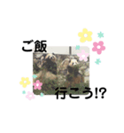 アニマルゥ！！（個別スタンプ：19）