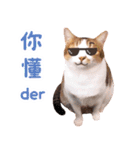 リトルフラワーキャットミラ実用チャット（個別スタンプ：4）