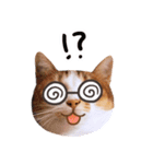 リトルフラワーキャットミラ実用チャット（個別スタンプ：9）