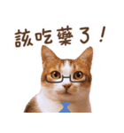 リトルフラワーキャットミラ実用チャット（個別スタンプ：14）