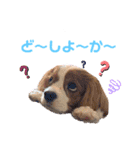 マクギースタンプpart2（個別スタンプ：2）