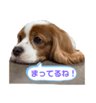 マクギースタンプpart2（個別スタンプ：3）
