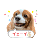 マクギースタンプpart2（個別スタンプ：4）