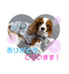 マクギースタンプpart2（個別スタンプ：6）