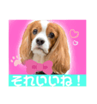 マクギースタンプpart2（個別スタンプ：10）