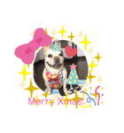 フレブル＆ブルズの仲良しペチャトリオ♡2（個別スタンプ：1）