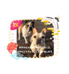 フレブル＆ブルズの仲良しペチャトリオ♡2（個別スタンプ：15）