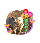 フレブル＆ブルズの仲良しペチャトリオ♡2（個別スタンプ：17）