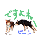 チワピンとチワワとフレンチブル（個別スタンプ：32）