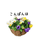 お花いっぱいスタンプ（個別スタンプ：3）