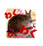 ちいさな灰色うさぎ②（個別スタンプ：8）