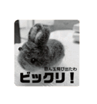 ちいさな灰色うさぎ②（個別スタンプ：9）