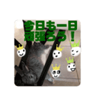 ちいさな灰色うさぎ②（個別スタンプ：11）