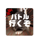 ちいさな灰色うさぎ②（個別スタンプ：17）