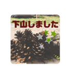 ちいさな灰色うさぎ②（個別スタンプ：24）