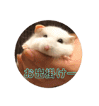 愛くるしい動物達のスタンプ（個別スタンプ：2）