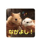愛くるしい動物達のスタンプ（個別スタンプ：4）