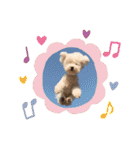 愛くるしい動物達のスタンプ（個別スタンプ：17）