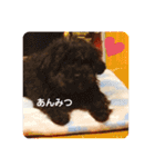 愛くるしい動物達のスタンプ（個別スタンプ：18）