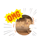 愛くるしい動物達のスタンプ（個別スタンプ：23）